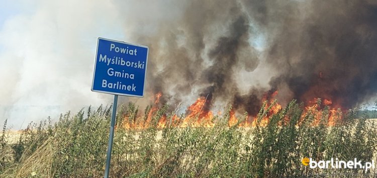 Pożar na polu między Płonnem a Sarnikiem.